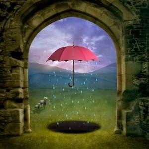 Аквариум плюс