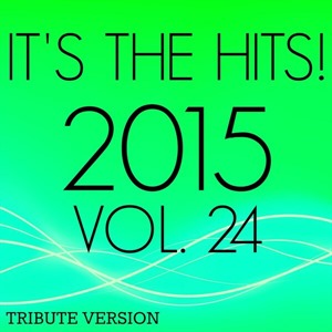 It's The Hits! 2015, Vol. 24