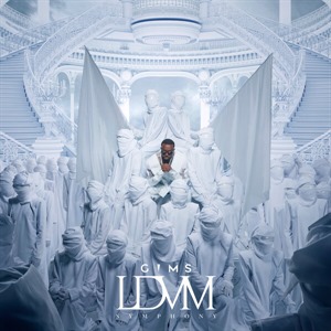 LES DERNIÈRES VOLONTÉS DE MOZART (SYMPHONY)