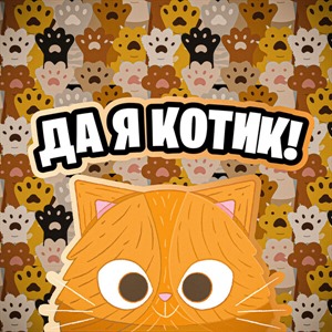 Да, я котик