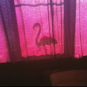 багчейзинг