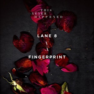 Lane 8