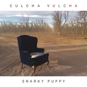 Snarky Puppy