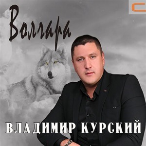 Владимир Курский