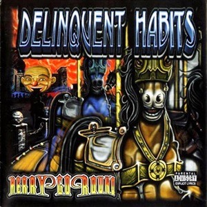 Delinquent Habits