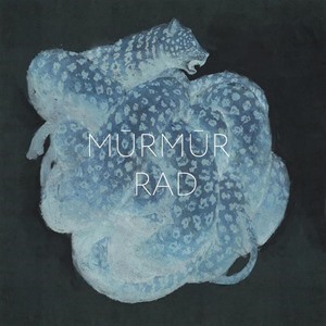 Murmur