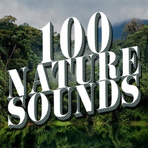 Nature Sounds Nature Music
