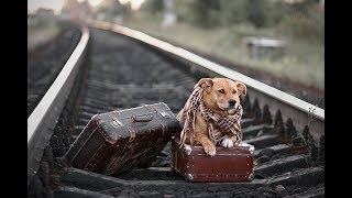 Макс Вертиго Новые Песни 2022 Года Макс Вертиго Новые Песни 2022 Года
