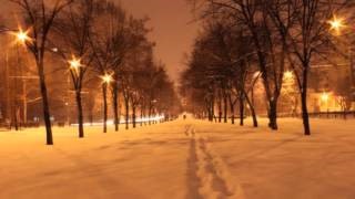 Прощание С Новогодней Елкой Прощание С Новогодней Елкой